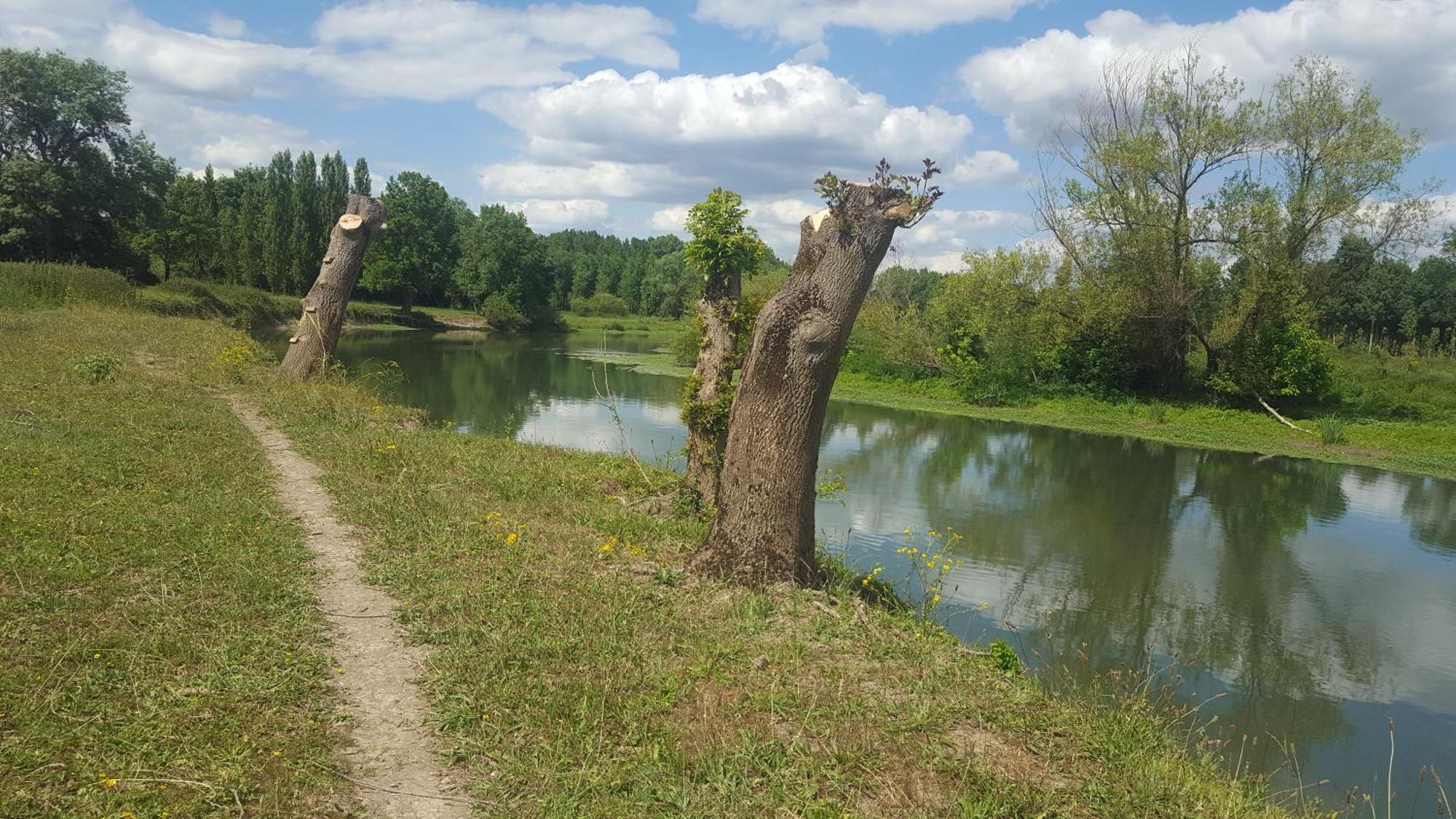 Gite Angers Proche Briollay Dış mekan fotoğraf