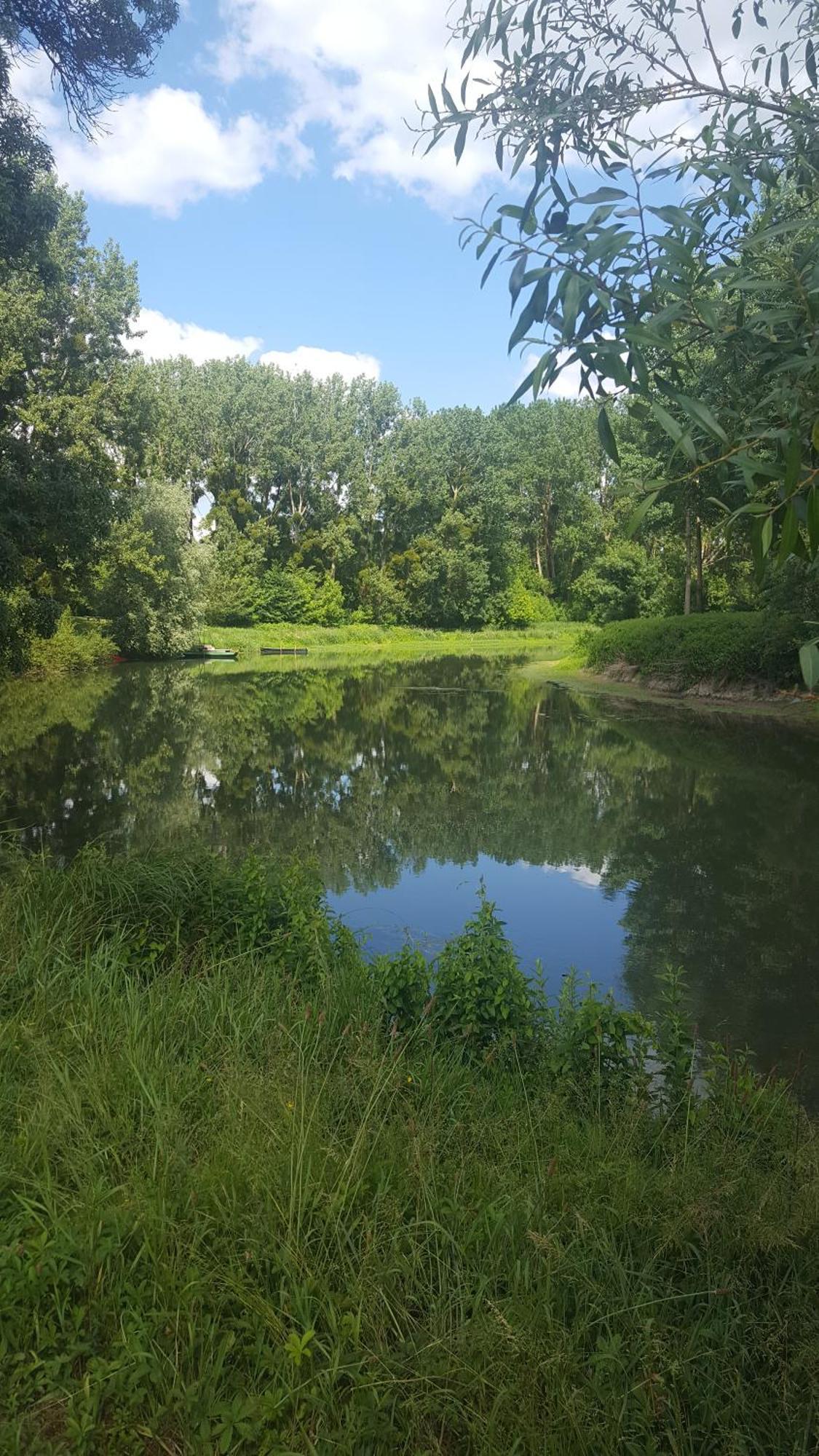 Gite Angers Proche Briollay Dış mekan fotoğraf
